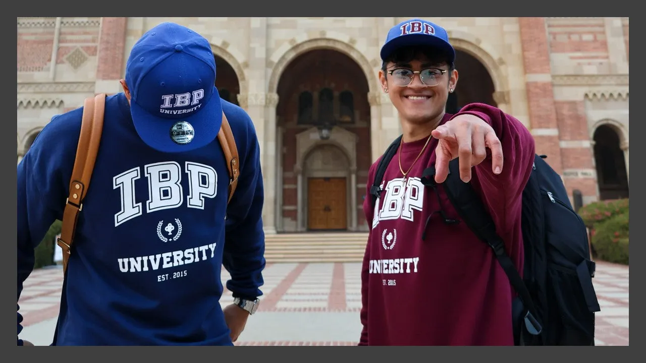 IBP UNIVERSITY -  Premium Cotton MAROON Crewneck sweatshirt